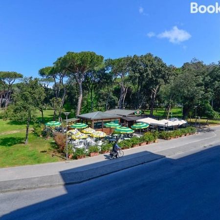 Hotel Cilene Viareggio Dış mekan fotoğraf